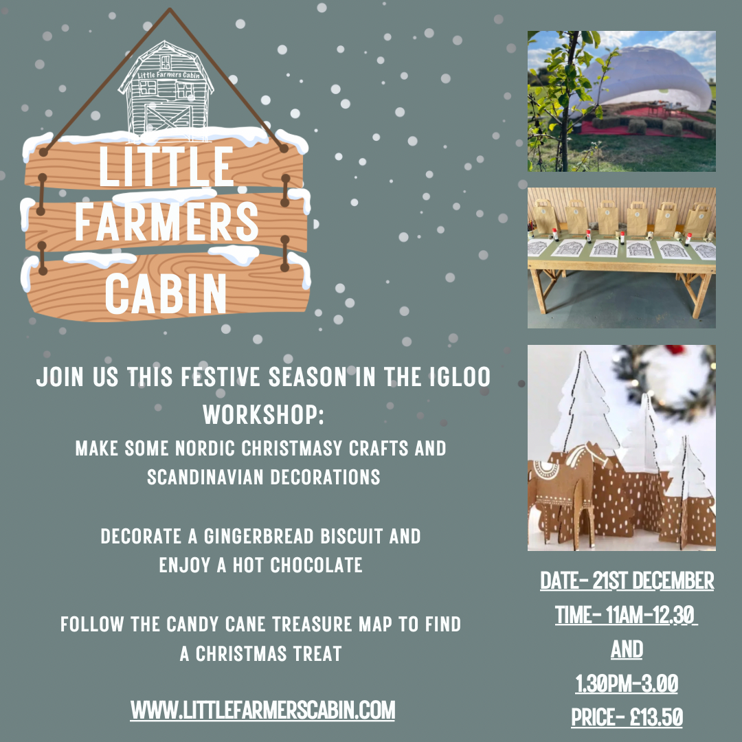 Christmas Igloo Workshop Event